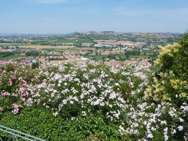 2015